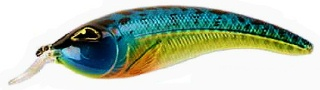 0001_Rozemeijer_Tyson_15_cm_[Speckled_Blue_Gill].jpg